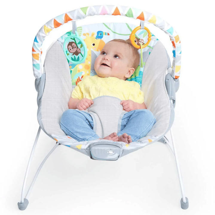 Babysitter Safari Fun™ - Grå Bright Starts
