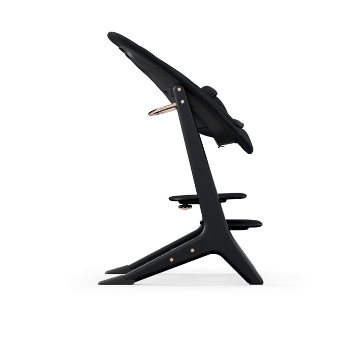 Platinum Lemo 4in1 Set - Black Wood Cybex