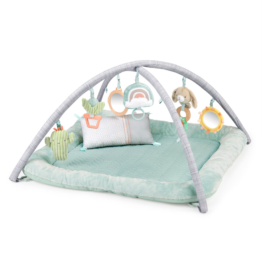 Ingenuity Ingenutiy Babygym Premium Plysch