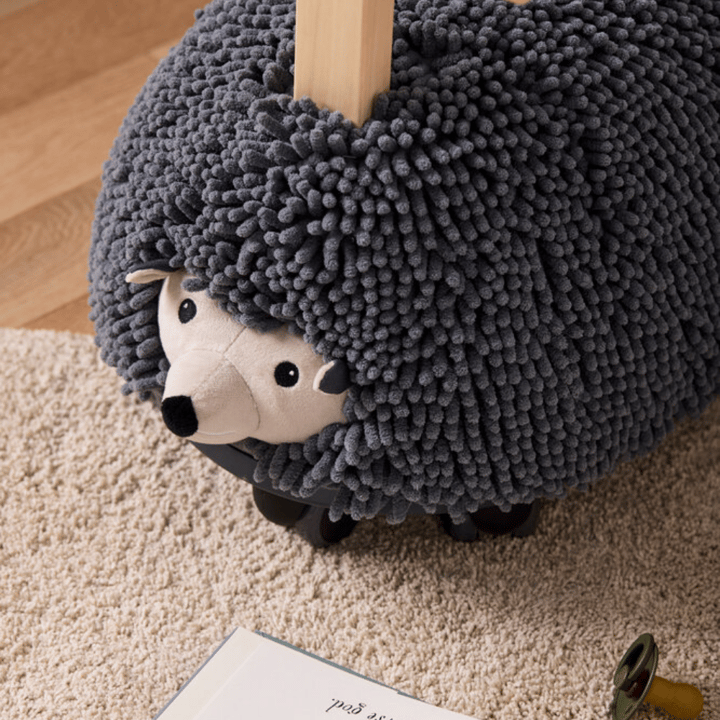 Åkleksak Igelkotten Edvin Kids Concept