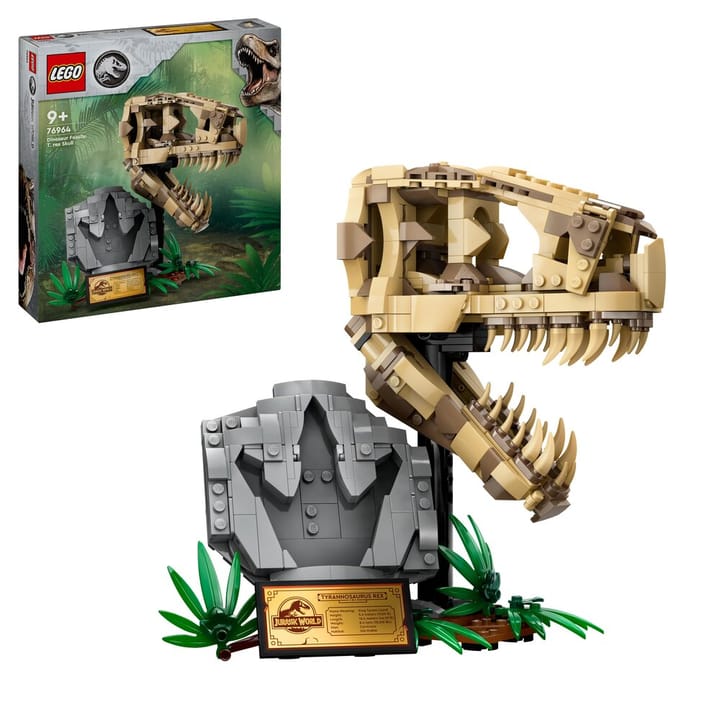 Dinosauriefossiler: T.Rex-Skalle LEGO