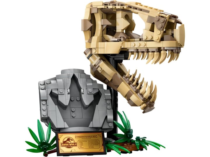 Dinosauriefossiler: T.Rex-Skalle LEGO