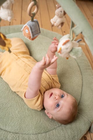 Aktivitetsmatta Little Farm Little Dutch