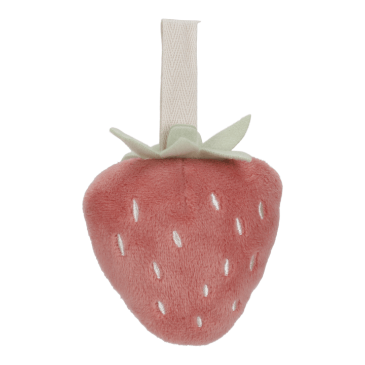 Babygym Fairy Garden - Rosa Little Dutch