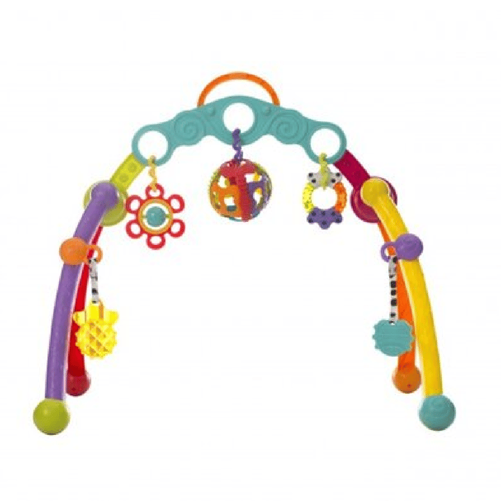 Babygym Fold & Go Playgro