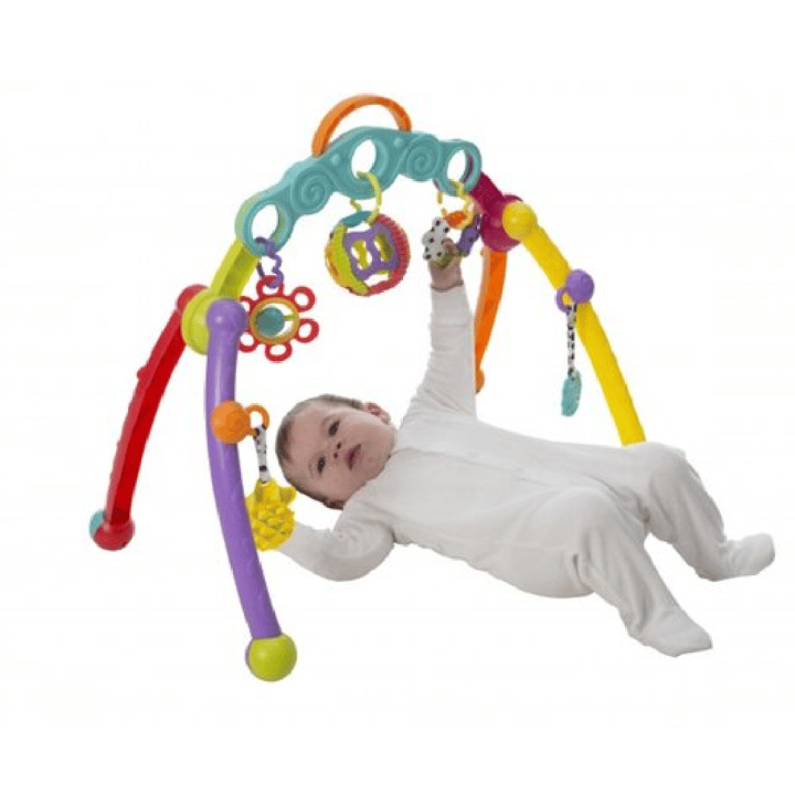Babygym Fold & Go Playgro