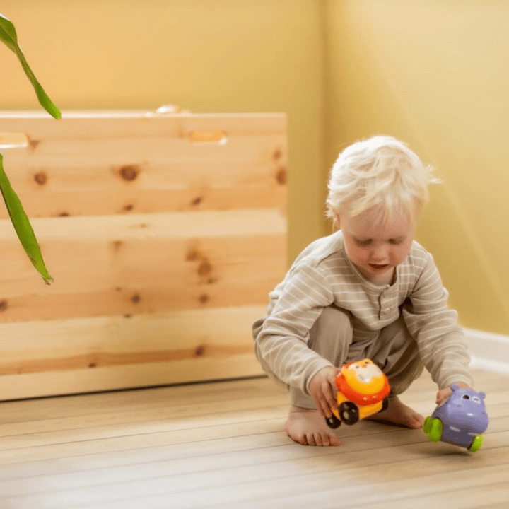 Leksaksbil Flodhäst Scandinavian Baby Products