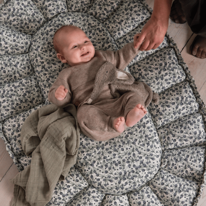 3-in-1 Babynest - Blue Olive Sebra