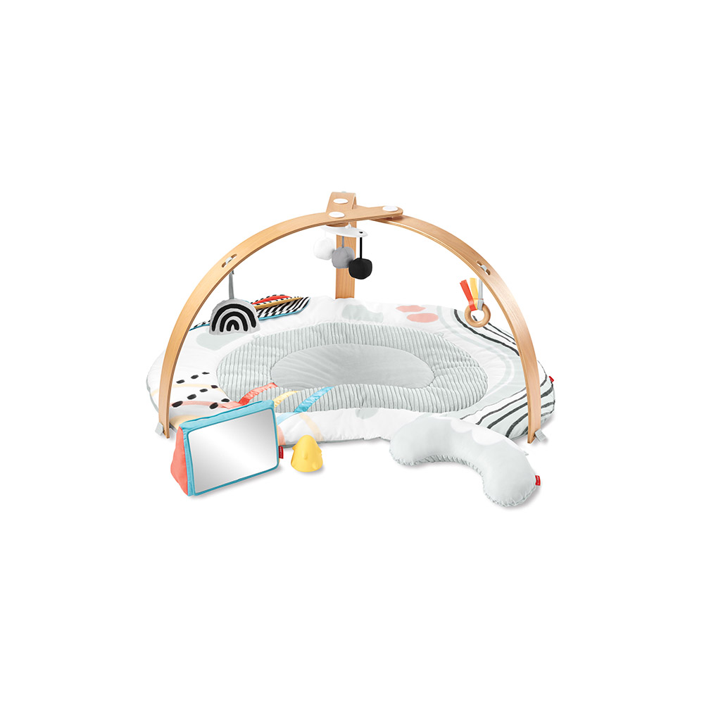 Skip Hop Babygym Discoverosity
