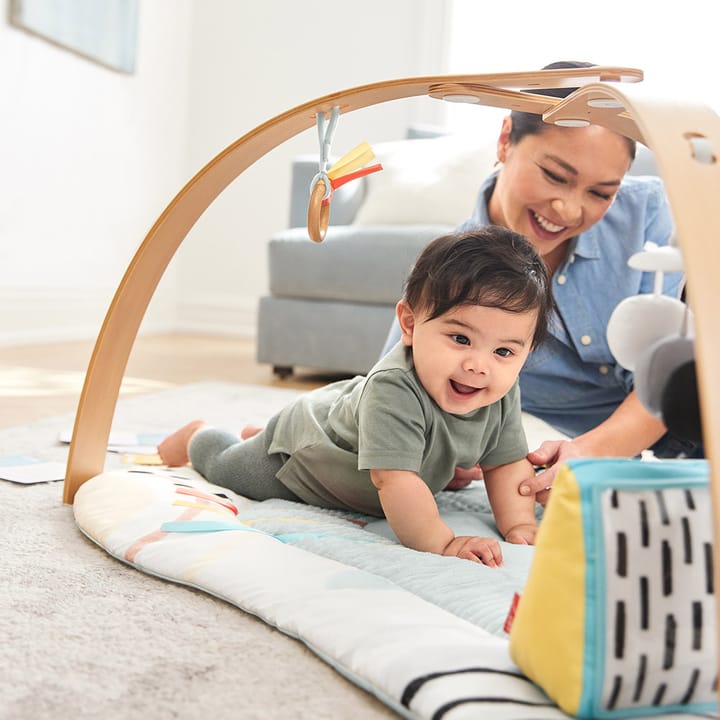 Babygym Discoverosity Skip Hop