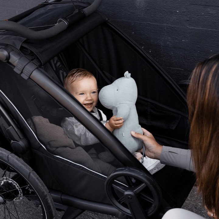 Chariot Sport 2 Single - Gold Thule