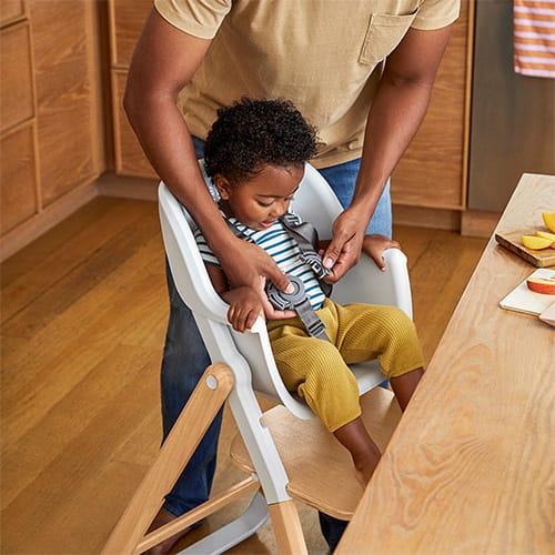 Matstol + Babyset Evolve - Natural Wood Ergobaby