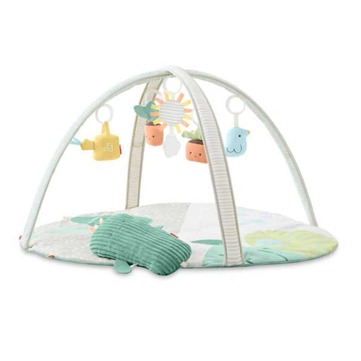 Garden Oasis Babygym Skip Hop