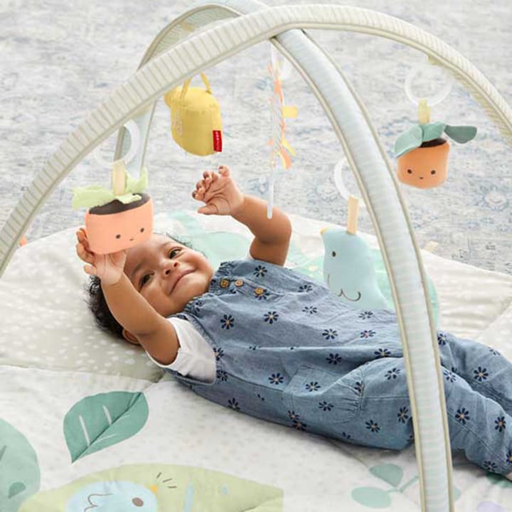 Garden Oasis Babygym Skip Hop