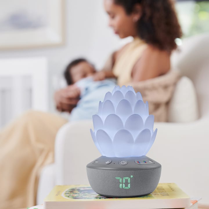 Succulent Nattlampa Med Gråtsensor Skip Hop