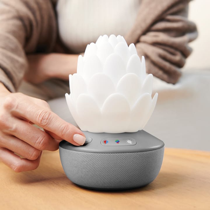 Succulent Nattlampa Med Gråtsensor Skip Hop