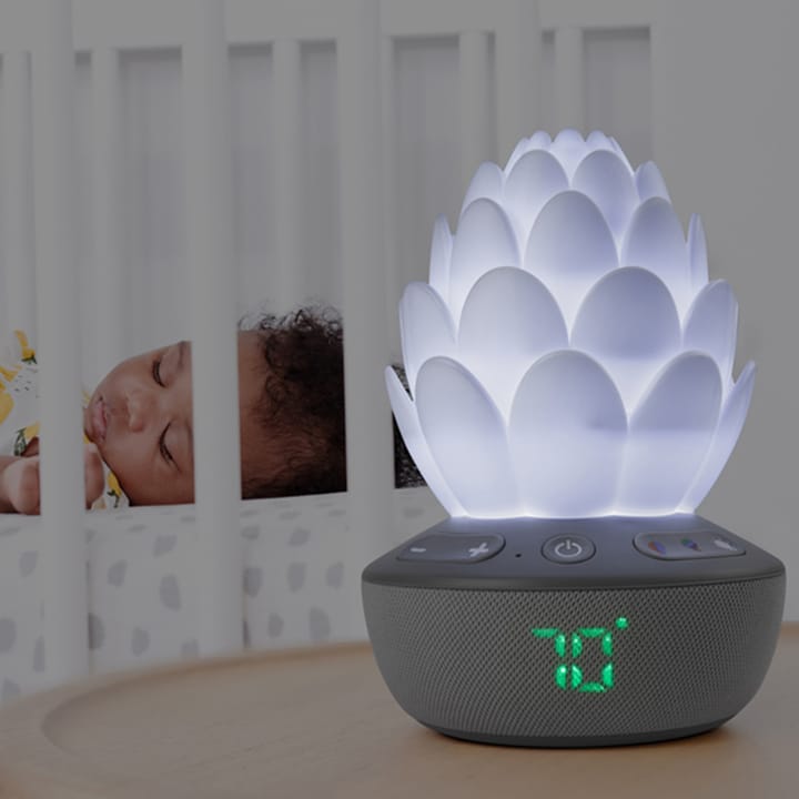 Succulent Nattlampa Med Gråtsensor Skip Hop
