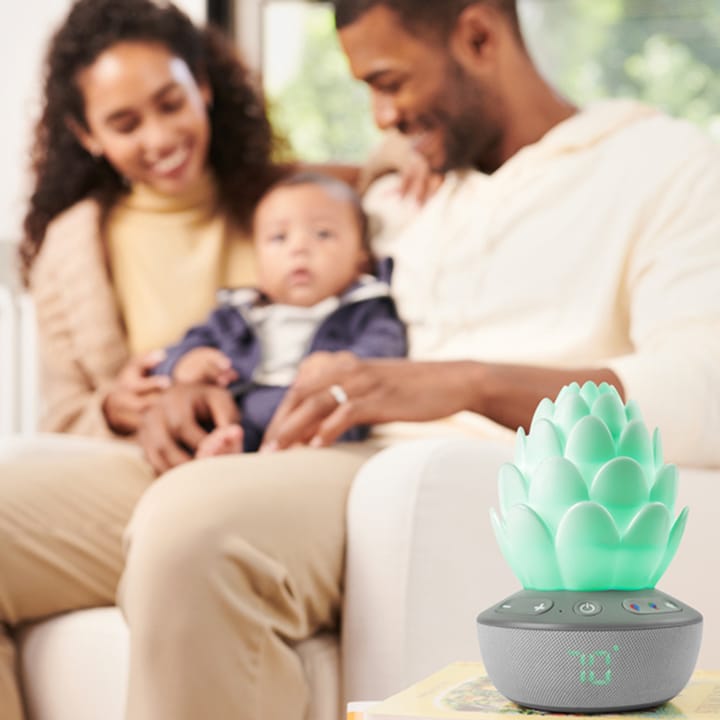 Succulent Nattlampa Med Gråtsensor Skip Hop