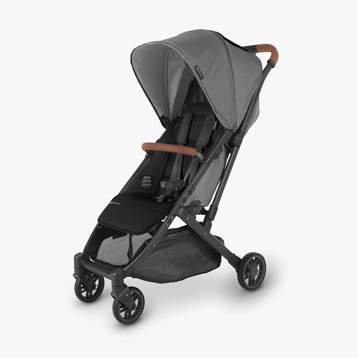 MINU V2 - Greyson Ergobaby