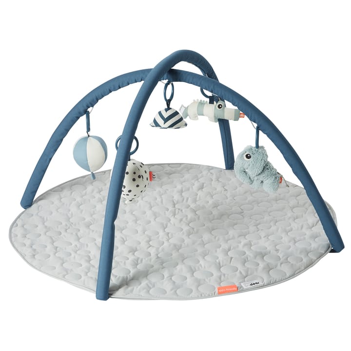 Activity Babygym - Blue