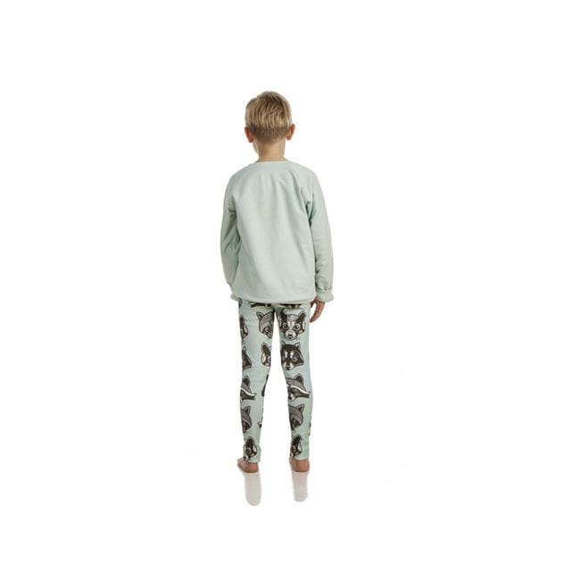 Sweatshirt Raccoon Green Vändbar Filemon Kid