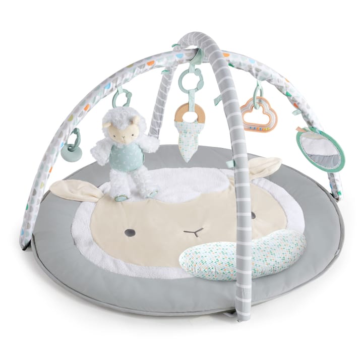 Babygym - Ljusgrå Ingenuity