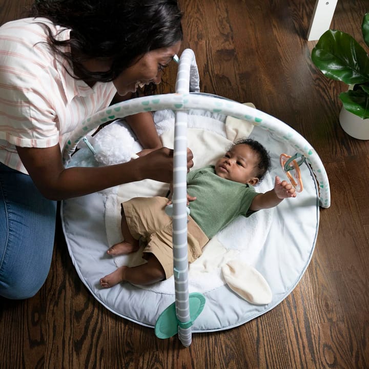 Babygym - Ljusgrå Ingenuity