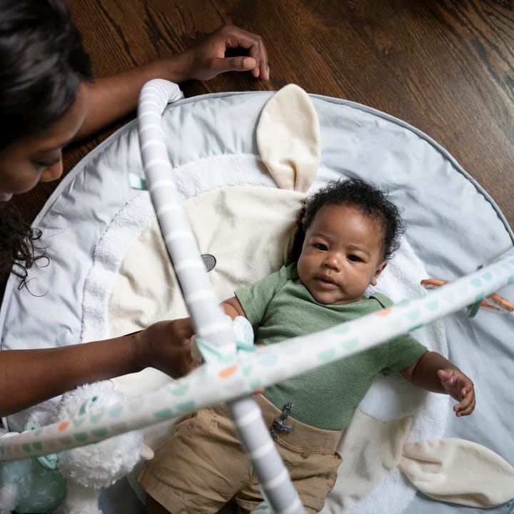 Babygym - Ljusgrå Ingenuity