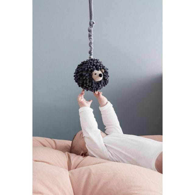 Speldosa Edvin Igelkott Kids Concept