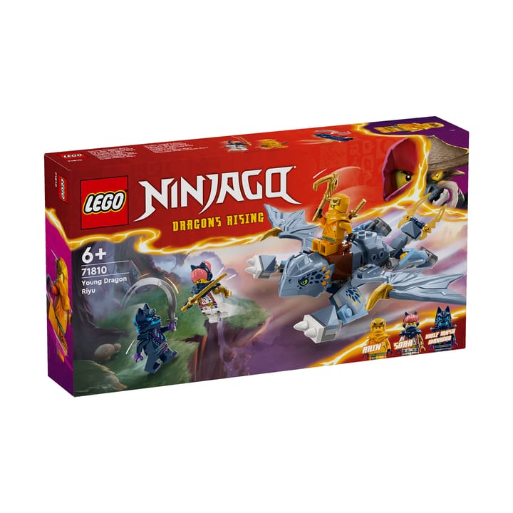 Ninjago 71810 Drakungen Riyu LEGO