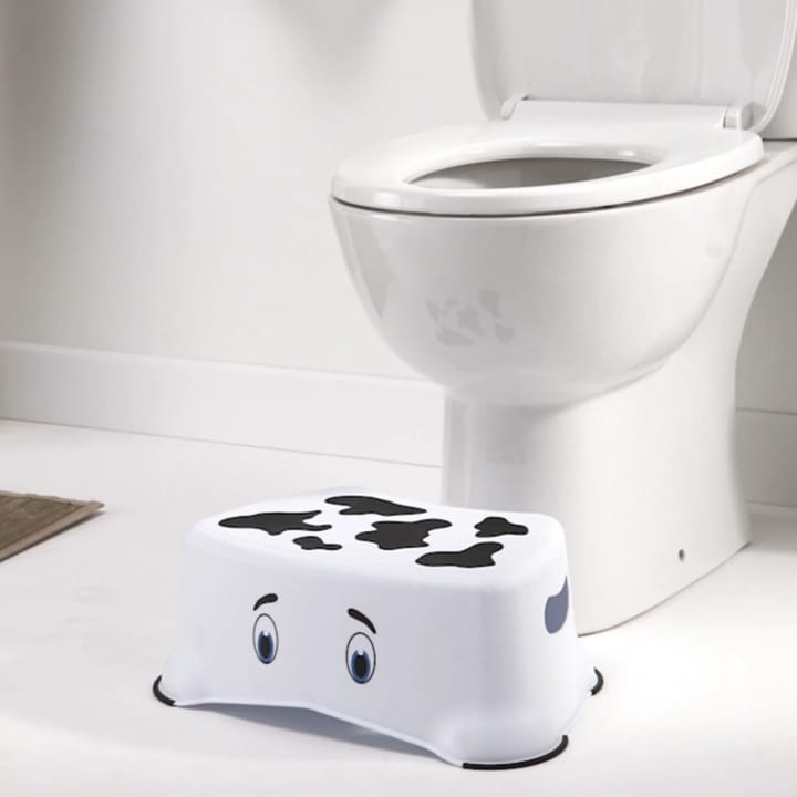 Pall - Ko My Carry Potty