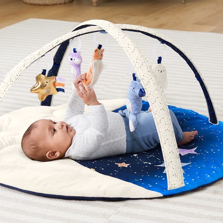 Celestial Dreams Babygym Skip Hop