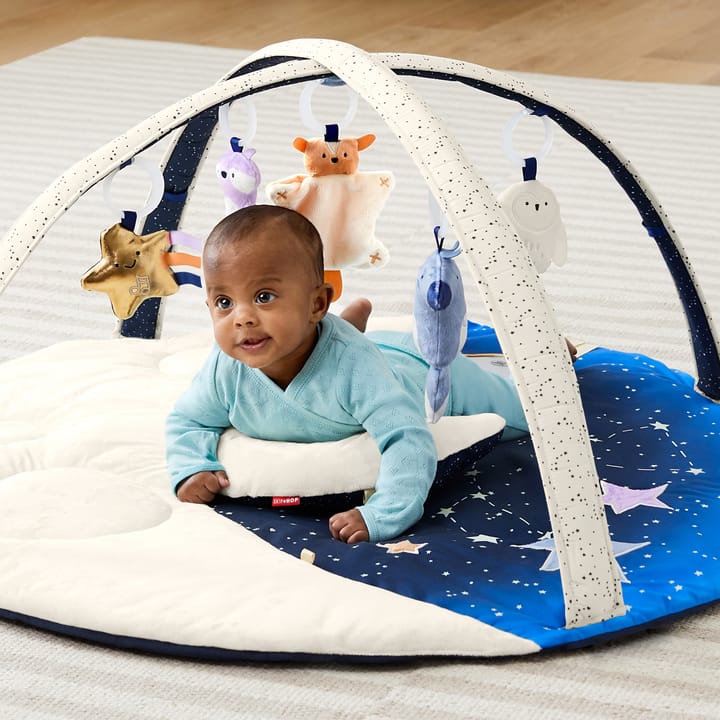 Celestial Dreams Babygym Skip Hop