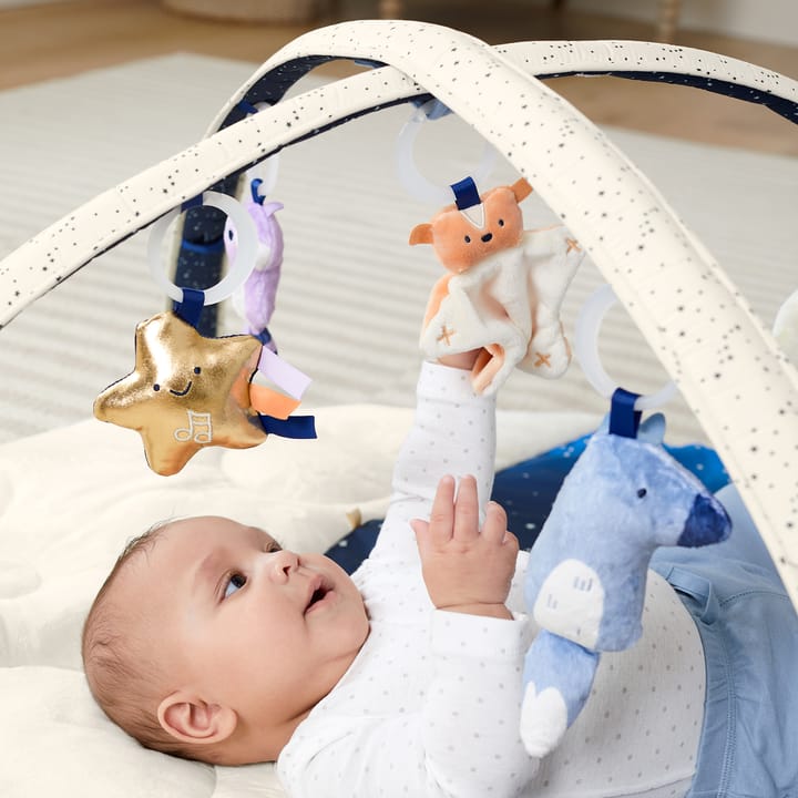 Celestial Dreams Babygym Skip Hop