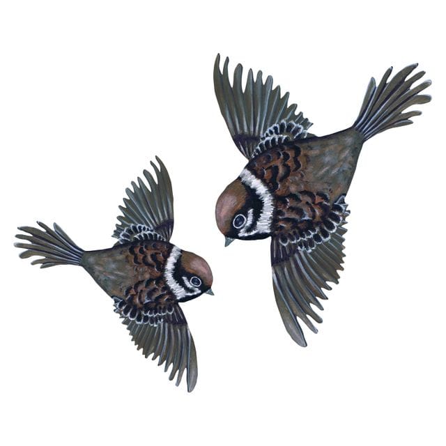 Väggklistermärke Flying Sparrows That's mine