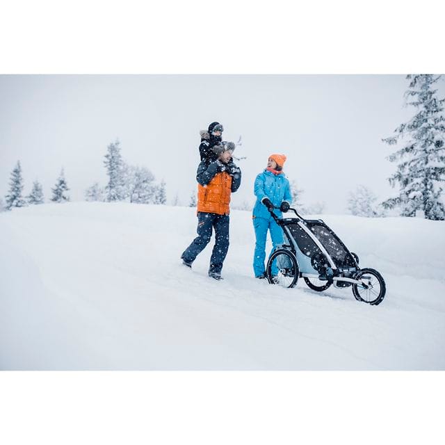 Chariot Cross 1 - Alaskan Blue Thule